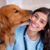 Why Do Dogs Lick People?