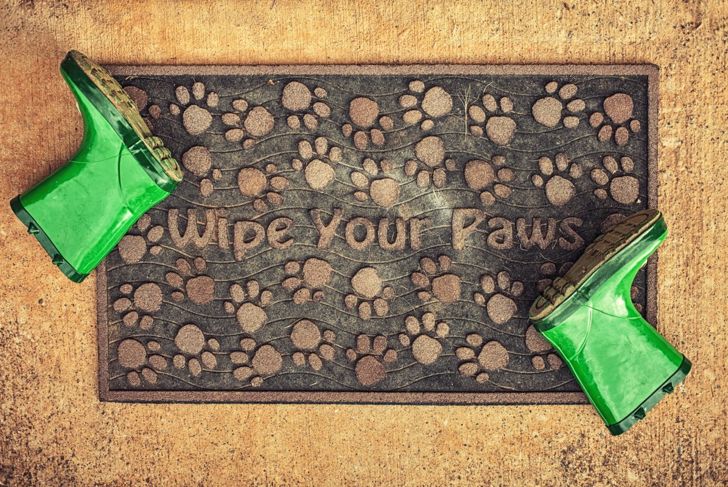Wipe Your Paws door mat