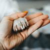 Get the First Aid Right for Your Dog’s Broken Nail