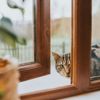 Fortify Your Home Against Kitty Cat Burglars
