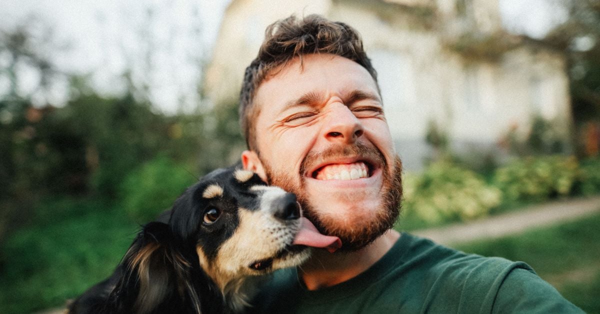 How Do Dogs Pick Their Favorite Humans? Critter Culture