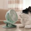 Keep Kitty as Cool as a Cucumber This Summer