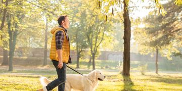 When Is It Too Hot or Cold for a Dog Walk?