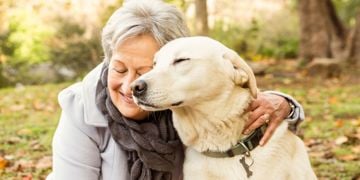 Consider These Dog Breeds for Your Golden Years