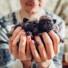 Newborn Puppy Facts That'll Make You Go Awwww