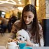 Wacky and Wonderful Pet-Themed Cafes Around the World